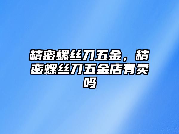 精密螺絲刀五金，精密螺絲刀五金店有賣嗎