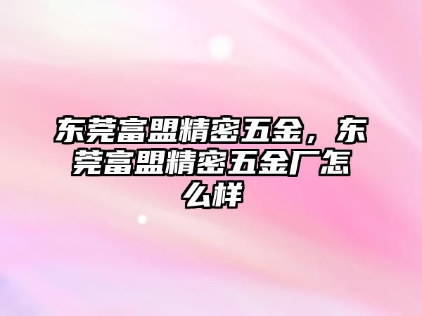 東莞富盟精密五金，東莞富盟精密五金廠怎么樣