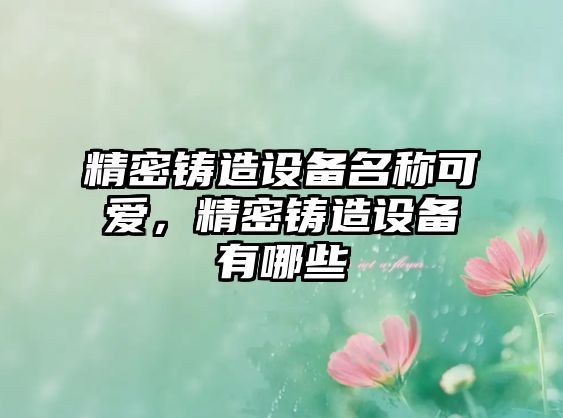 精密鑄造設(shè)備名稱可愛，精密鑄造設(shè)備有哪些