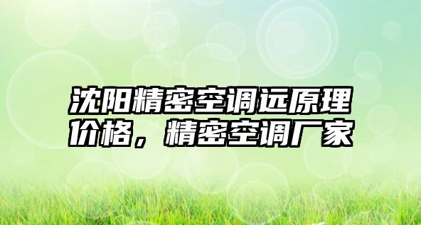 沈陽精密空調(diào)遠原理價格，精密空調(diào)廠家