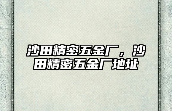 沙田精密五金廠，沙田精密五金廠地址