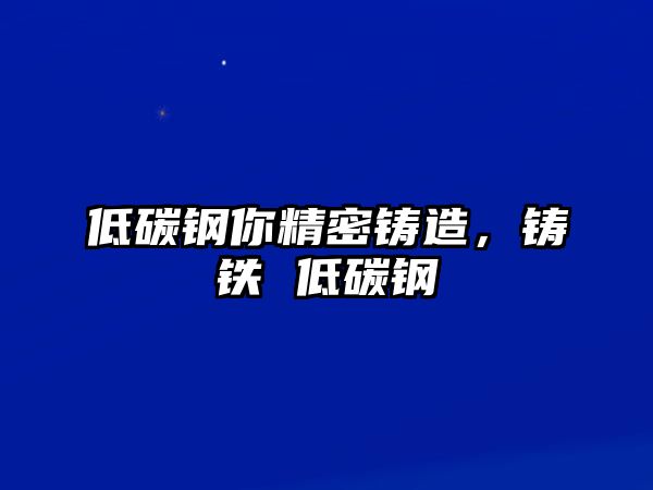 低碳鋼你精密鑄造，鑄鐵 低碳鋼