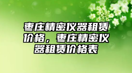 棗莊精密儀器租賃價格，棗莊精密儀器租賃價格表