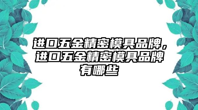 進口五金精密模具品牌，進口五金精密模具品牌有哪些