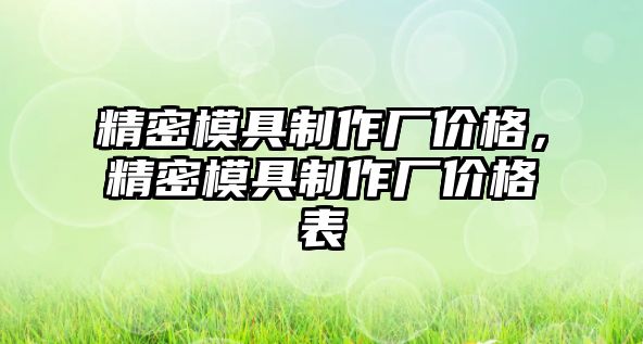 精密模具制作廠價格，精密模具制作廠價格表