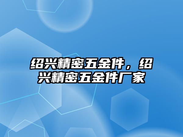 紹興精密五金件，紹興精密五金件廠家