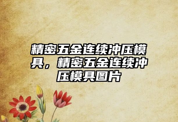 精密五金連續(xù)沖壓模具，精密五金連續(xù)沖壓模具圖片