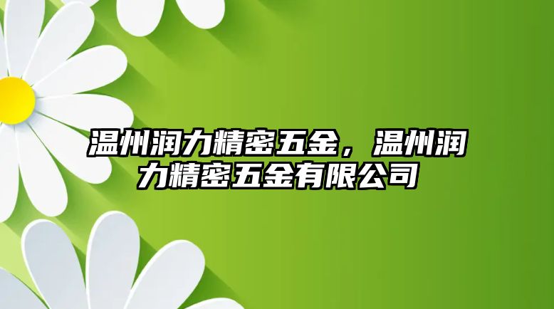 溫州潤力精密五金，溫州潤力精密五金有限公司