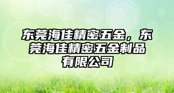 東莞海佳精密五金，東莞海佳精密五金制品有限公司