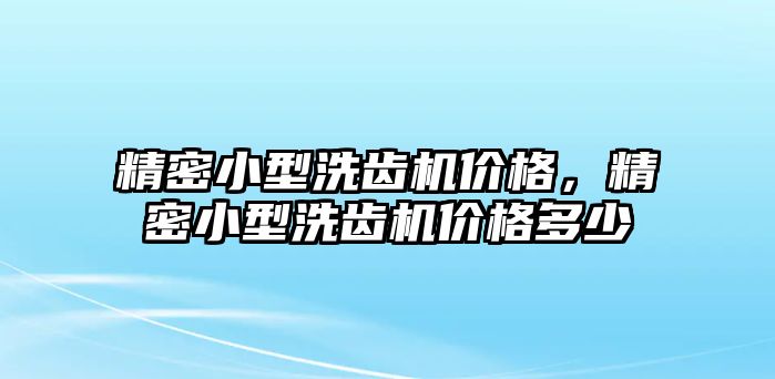 精密小型洗齒機價格，精密小型洗齒機價格多少