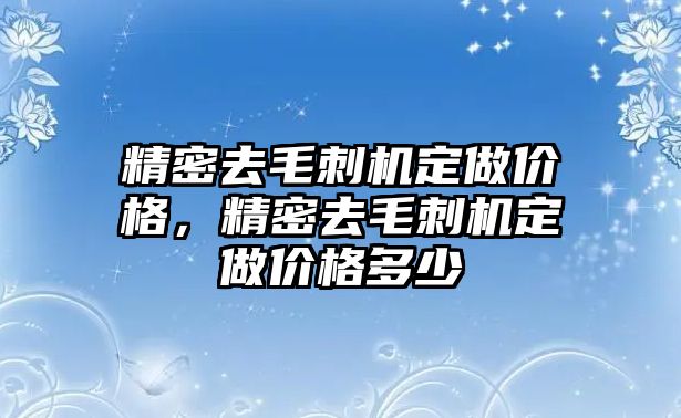 精密去毛刺機定做價格，精密去毛刺機定做價格多少