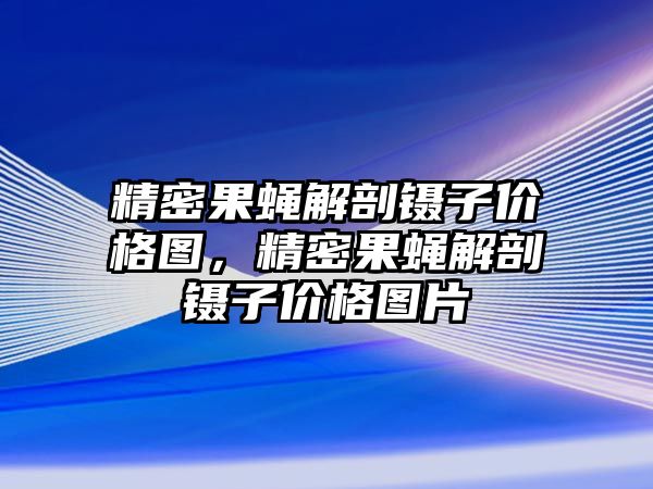 精密果蠅解剖鑷子價格圖，精密果蠅解剖鑷子價格圖片