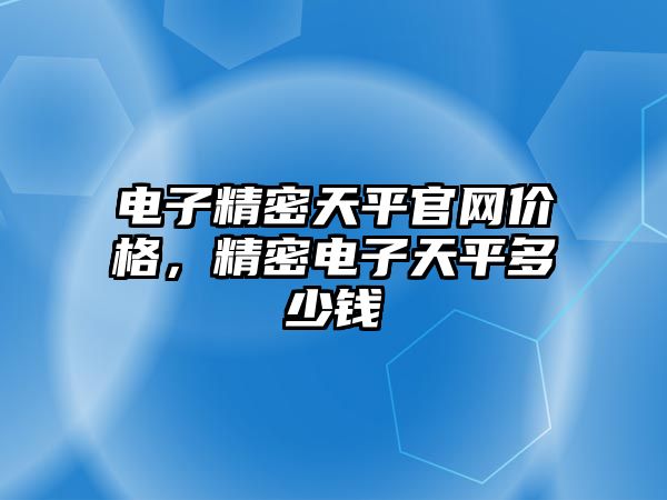 電子精密天平官網(wǎng)價(jià)格，精密電子天平多少錢