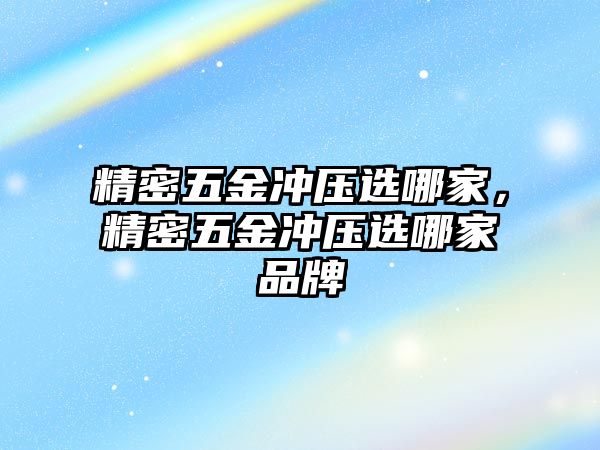 精密五金沖壓選哪家，精密五金沖壓選哪家品牌