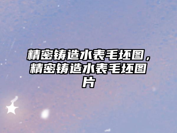 精密鑄造水表毛坯圖，精密鑄造水表毛坯圖片