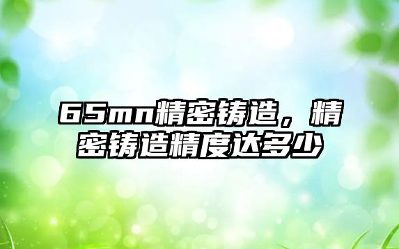 65mn精密鑄造，精密鑄造精度達多少