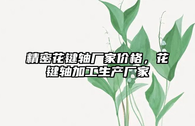 精密花鍵軸廠家價格，花鍵軸加工生產廠家