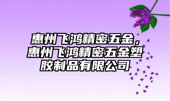 惠州飛鴻精密五金，惠州飛鴻精密五金塑膠制品有限公司