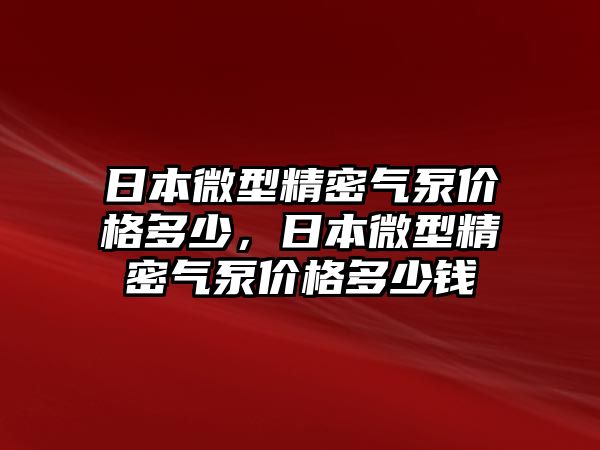 日本微型精密氣泵價(jià)格多少，日本微型精密氣泵價(jià)格多少錢