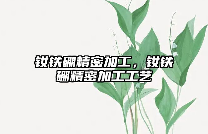 釹鐵硼精密加工，釹鐵硼精密加工工藝