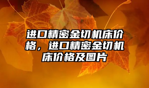 進口精密金切機床價格，進口精密金切機床價格及圖片