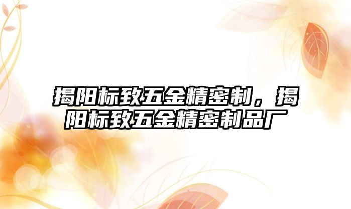 揭陽標(biāo)致五金精密制，揭陽標(biāo)致五金精密制品廠