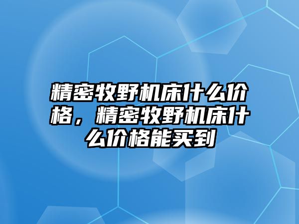 精密牧野機(jī)床什么價格，精密牧野機(jī)床什么價格能買到