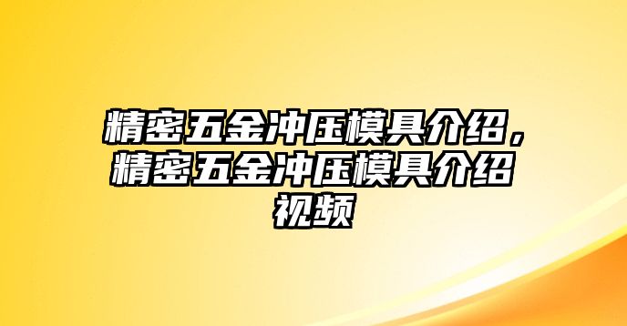 精密五金沖壓模具介紹，精密五金沖壓模具介紹視頻