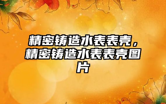 精密鑄造水表表殼，精密鑄造水表表殼圖片