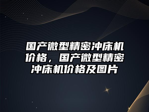 國產微型精密沖床機價格，國產微型精密沖床機價格及圖片