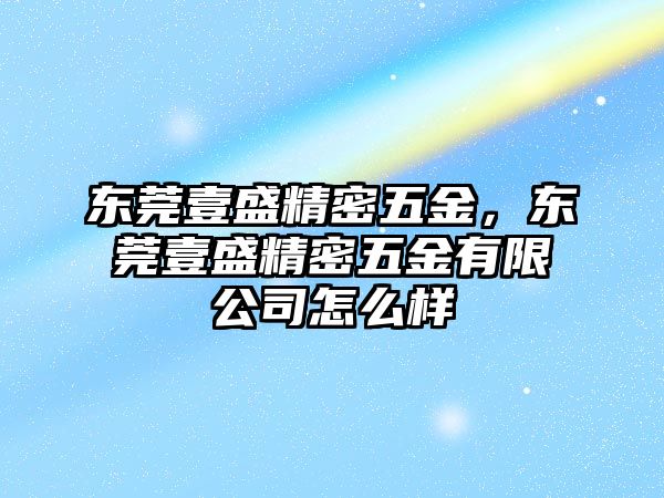 東莞壹盛精密五金，東莞壹盛精密五金有限公司怎么樣