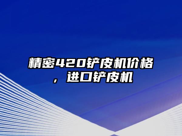 精密420鏟皮機價格，進口鏟皮機