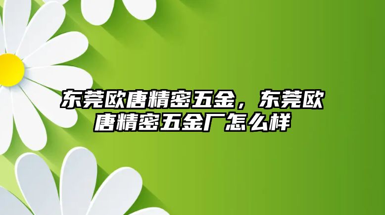 東莞歐唐精密五金，東莞歐唐精密五金廠怎么樣