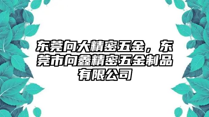 東莞向大精密五金，東莞市向鑫精密五金制品有限公司