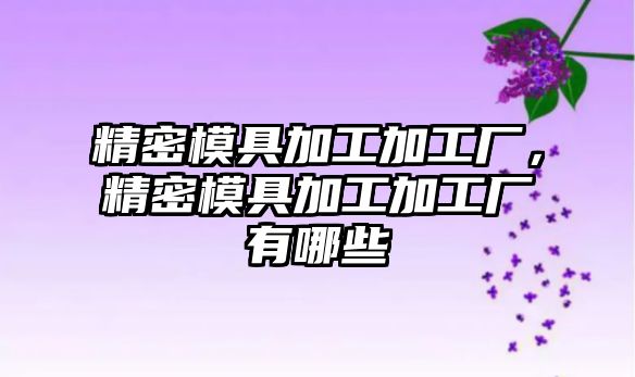 精密模具加工加工廠，精密模具加工加工廠有哪些