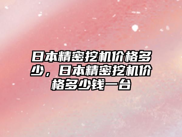 日本精密挖機價格多少，日本精密挖機價格多少錢一臺