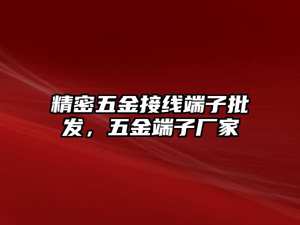 精密五金接線端子批發(fā)，五金端子廠家