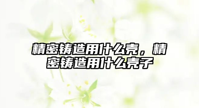 精密鑄造用什么殼，精密鑄造用什么殼子