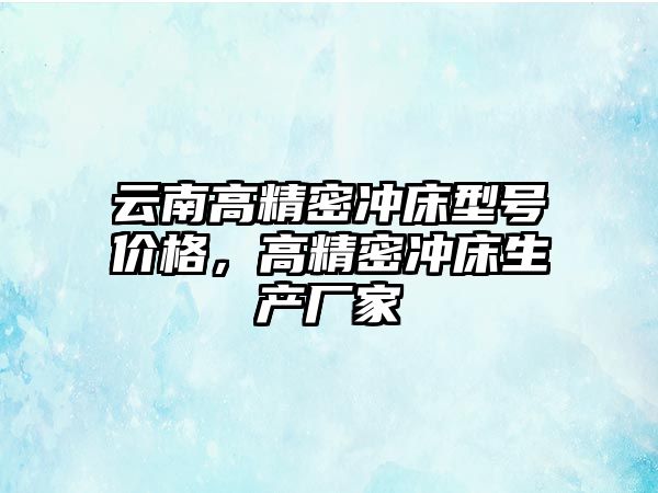 云南高精密沖床型號價格，高精密沖床生產(chǎn)廠家