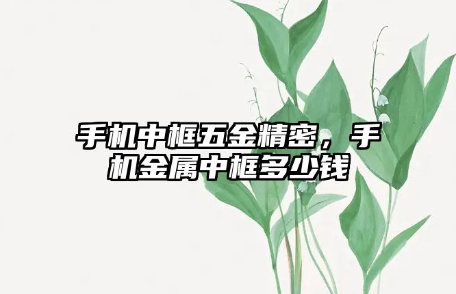 手機中框五金精密，手機金屬中框多少錢