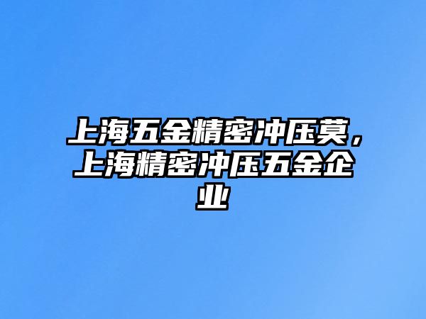 上海五金精密沖壓莫，上海精密沖壓五金企業(yè)