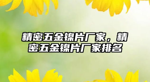 精密五金鎳片廠家，精密五金鎳片廠家排名