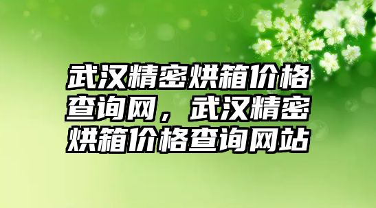 武漢精密烘箱價格查詢網(wǎng)，武漢精密烘箱價格查詢網(wǎng)站