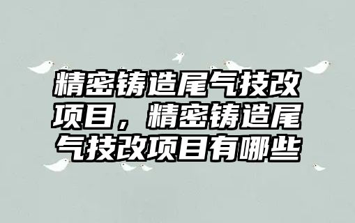 精密鑄造尾氣技改項目，精密鑄造尾氣技改項目有哪些