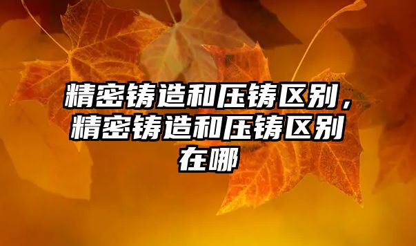 精密鑄造和壓鑄區(qū)別，精密鑄造和壓鑄區(qū)別在哪