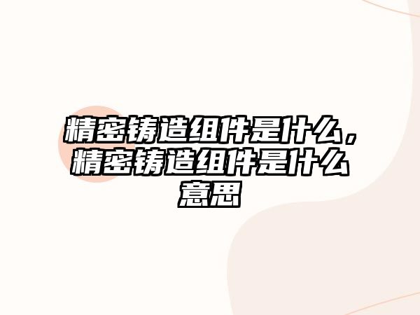 精密鑄造組件是什么，精密鑄造組件是什么意思