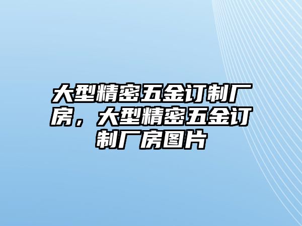 大型精密五金訂制廠房，大型精密五金訂制廠房圖片