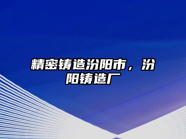 精密鑄造汾陽(yáng)市，汾陽(yáng)鑄造廠