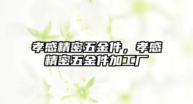 孝感精密五金件，孝感精密五金件加工廠