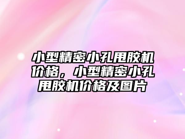 小型精密小孔甩膠機價格，小型精密小孔甩膠機價格及圖片